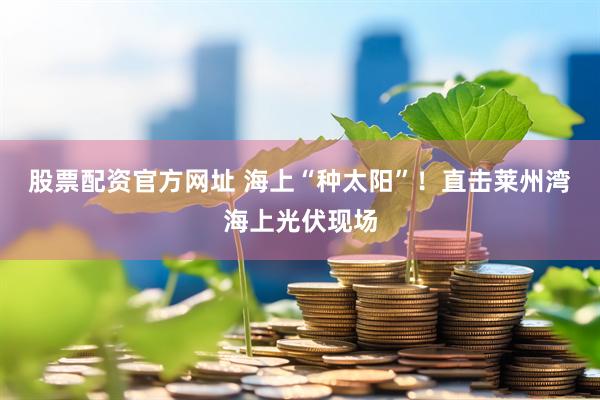 股票配资官方网址 海上“种太阳”！直击莱州湾海上光伏现场